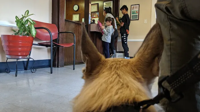 Evening Pet Clinic Picture 4