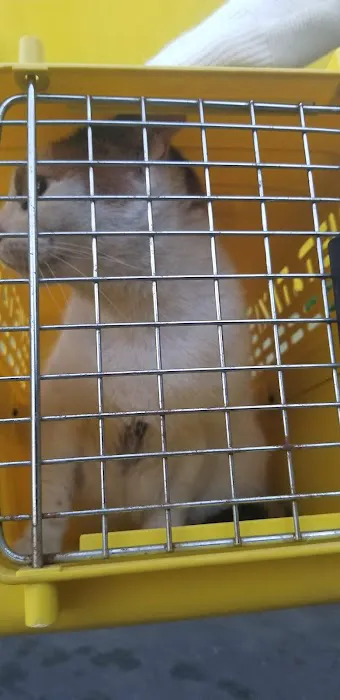 Boulevard Animal Hospital Picture 9