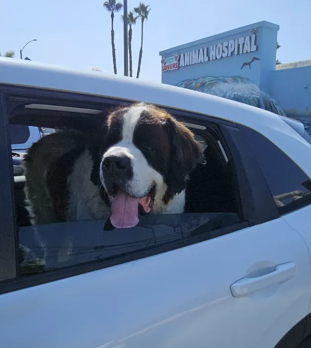 Pet Lovers Animal Hospital Long Beach Picture 2