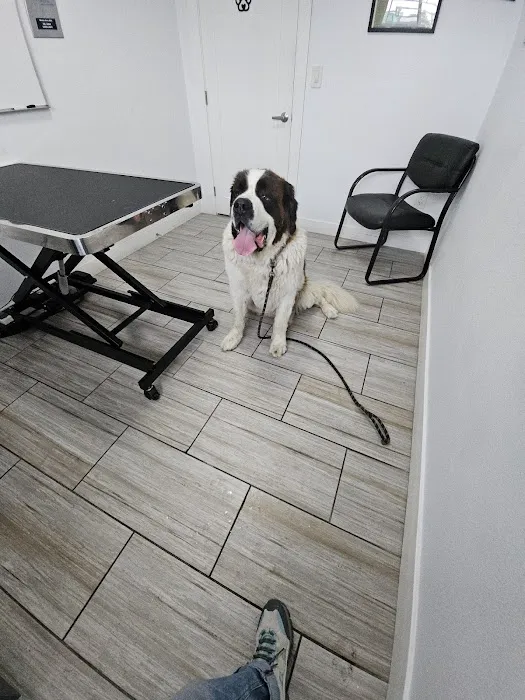 Pet Lovers Animal Hospital Long Beach Picture 1