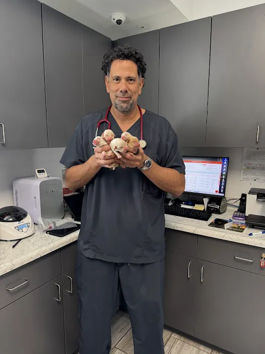 Pet Lovers Animal Hospital Long Beach Picture 6