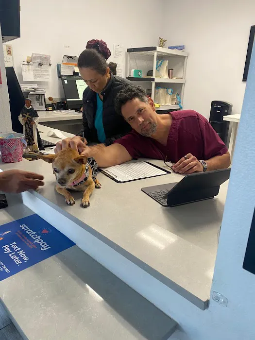 Pet Lovers Animal Hospital Long Beach Picture 5