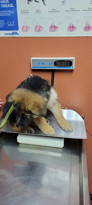 Mercy Animal Medical Center Picture 1