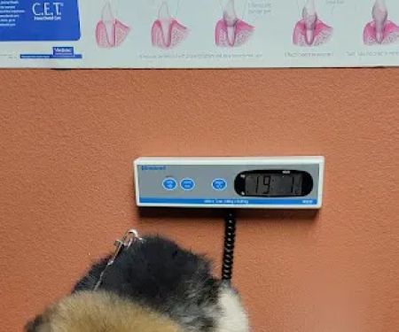 Mercy Animal Medical Center