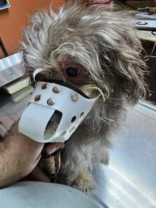 Mercy Animal Medical Center Picture 2