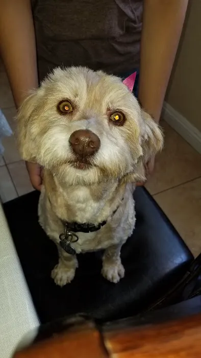 Mercy Animal Medical Center Picture 10