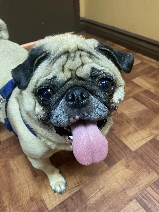 Mercy Animal Medical Center Picture 9