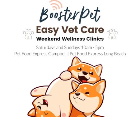 BoosterPet Weekend Wellness Veterinary Clinic in Long Beach