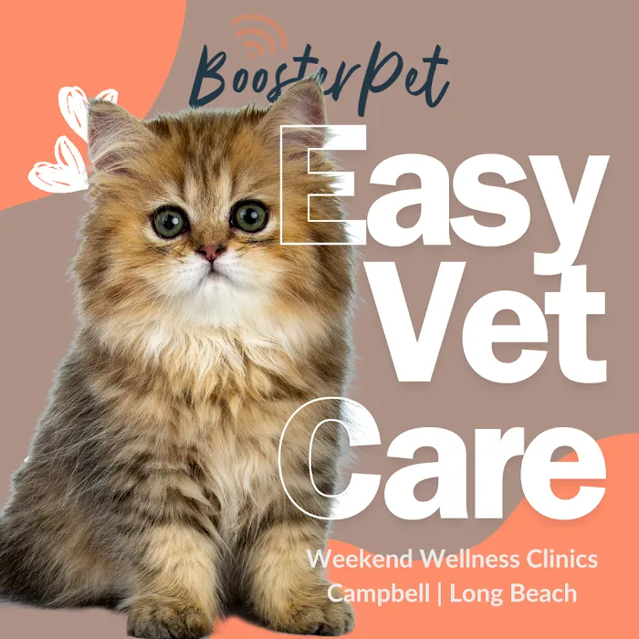 BoosterPet Weekend Wellness Veterinary Clinic in Long Beach Picture 3