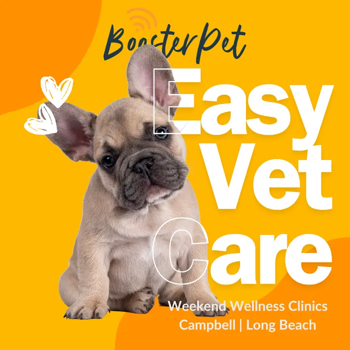 BoosterPet Weekend Wellness Veterinary Clinic in Long Beach Picture 5