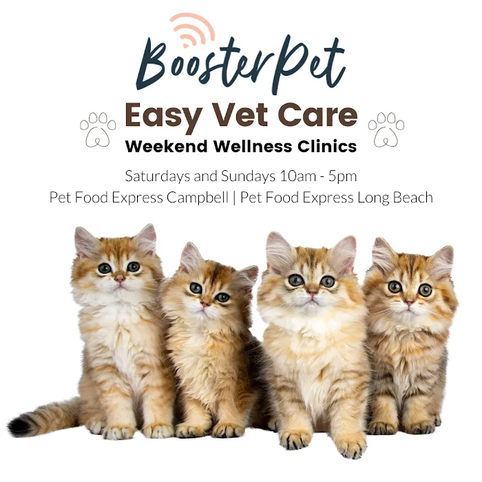 BoosterPet Weekend Wellness Veterinary Clinic in Long Beach Picture 9