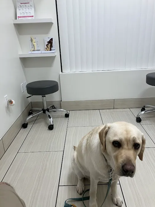 Bixby Animal Clinic Picture 1
