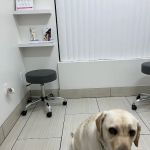Bixby Animal Clinic