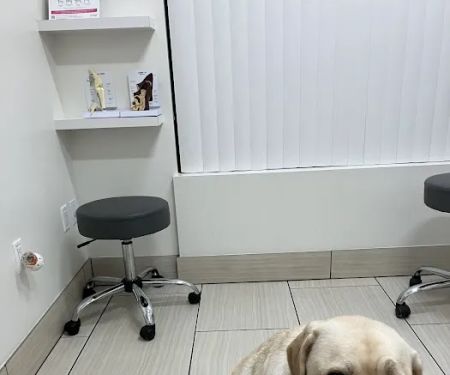 Bixby Animal Clinic