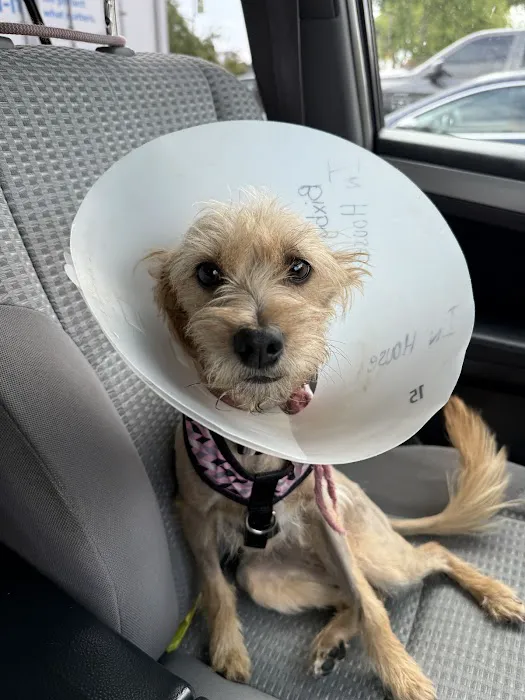 Bixby Animal Clinic Picture 4