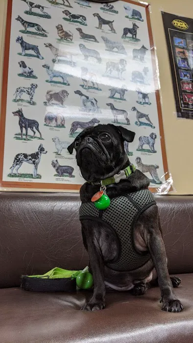 Ambassador Long Beach Veterinary Hospital Picture 9