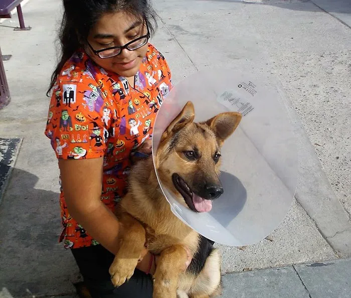 Ambassador Long Beach Veterinary Hospital Picture 8