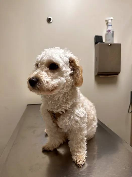 Vetco Total Care Animal Hospital Picture 1