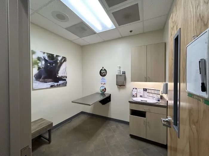 Vetco Total Care Animal Hospital Picture 5