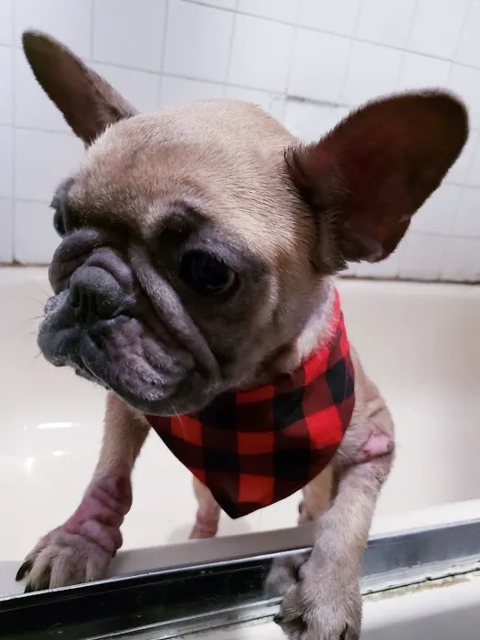 Vetco Total Care Animal Hospital Picture 6