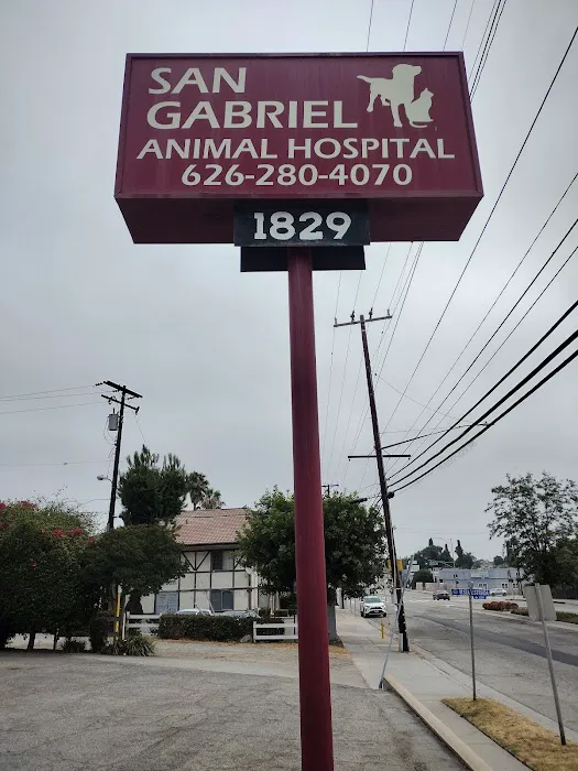 San Gabriel Animal Hospital Picture 3