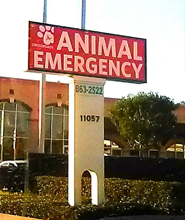 Crossroads Animal Emergency - Norwalk Picture 8