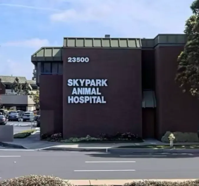 Skypark Animal Hospital Picture 7