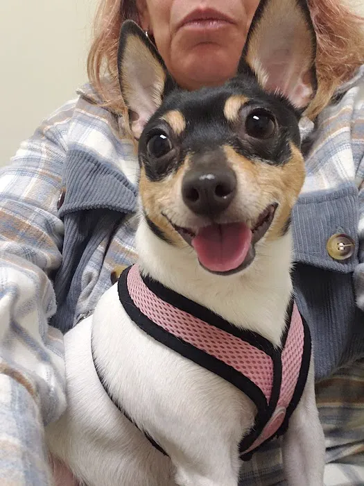 Vetco Total Care Animal Hospital Picture 2