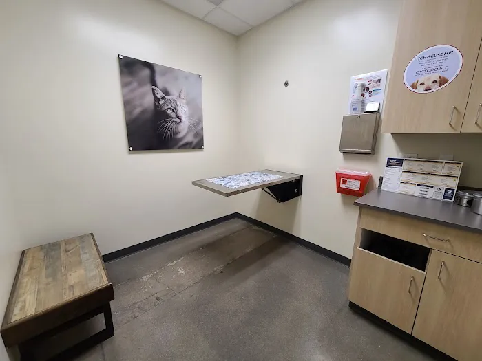 Vetco Total Care Animal Hospital Picture 7
