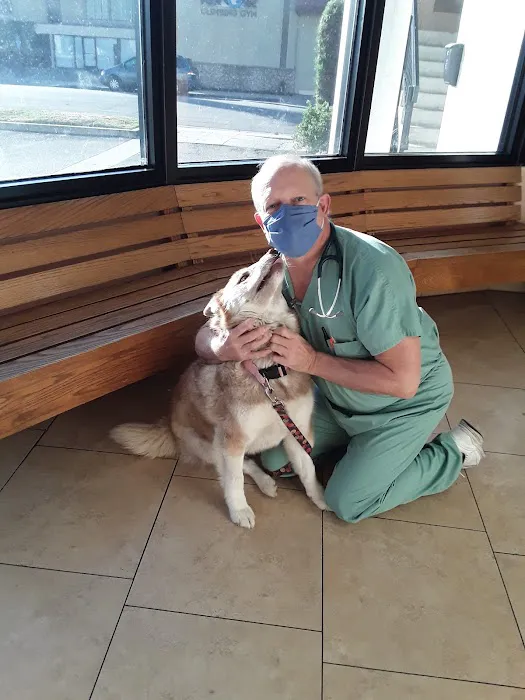 Arcadia Animal Hospital Picture 6