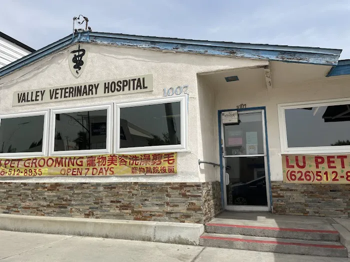 Valley Veterinary Hospital Picture 3