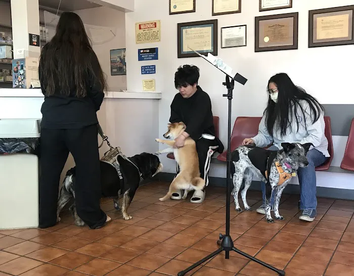 Valley Veterinary Hospital Picture 2