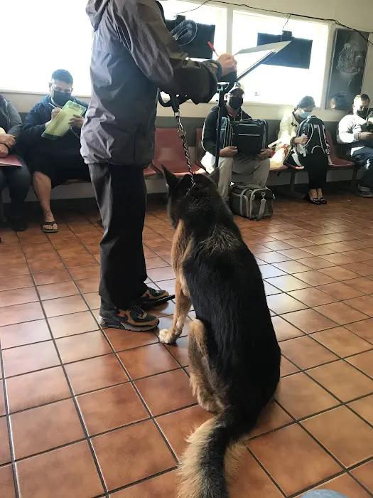 Valley Veterinary Hospital Picture 1