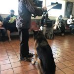 Valley Veterinary Hospital