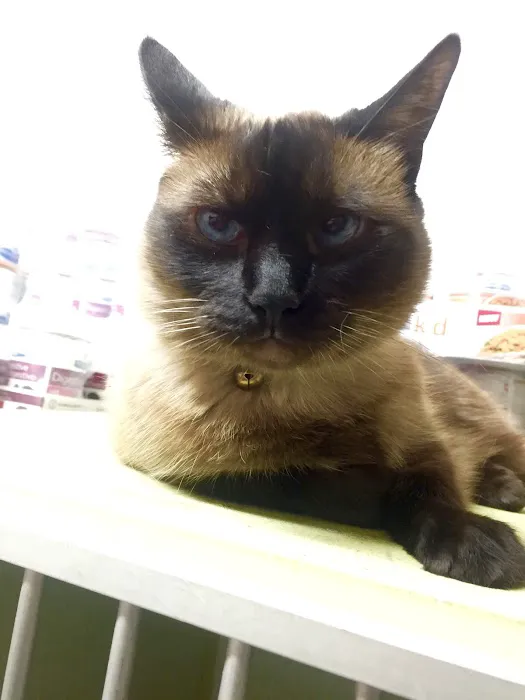 Valley Veterinary Hospital Picture 10