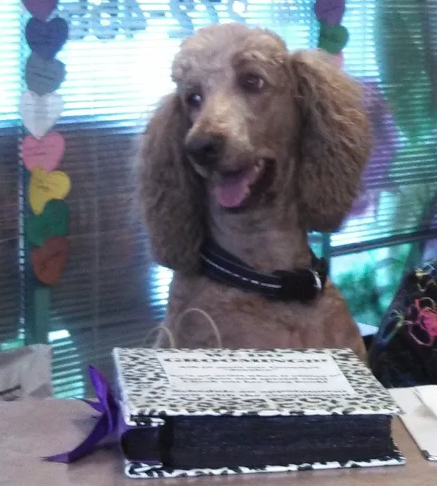 Palm Plaza Pet Hospital Picture 9