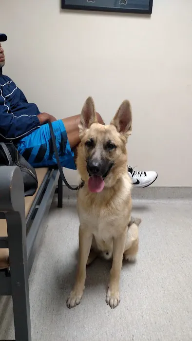 Palm Plaza Pet Hospital Picture 10