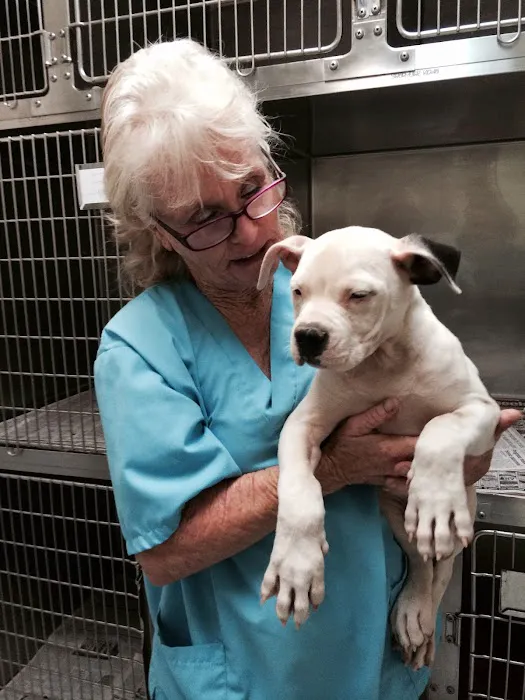 High Desert Animal Care Hospital Picture 6