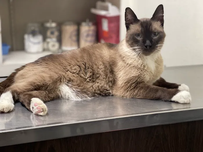 High Desert Animal Care Hospital Picture 4