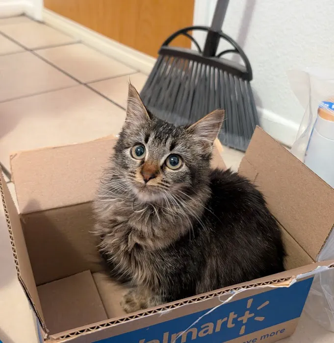 Greater Good Veterinary Care Picture 8