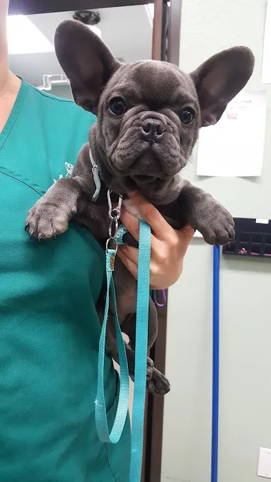 Lancaster Pet Clinic Picture 6