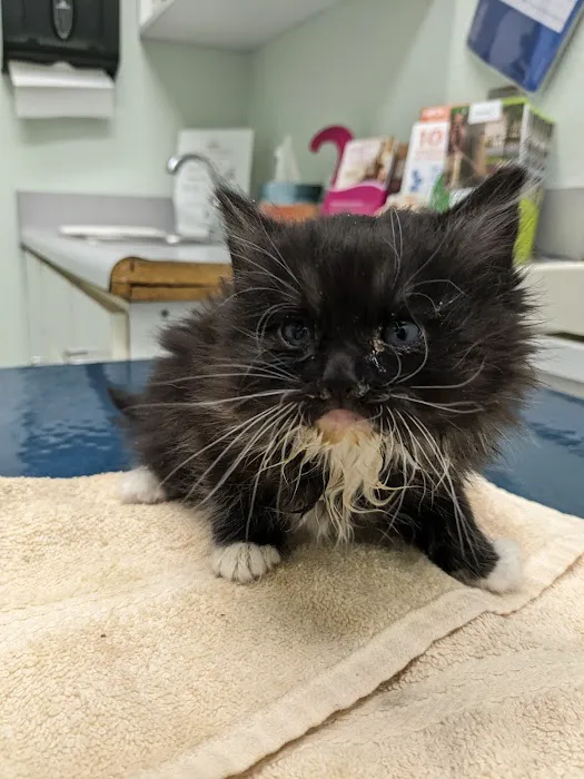 Lancaster Pet Clinic Picture 5