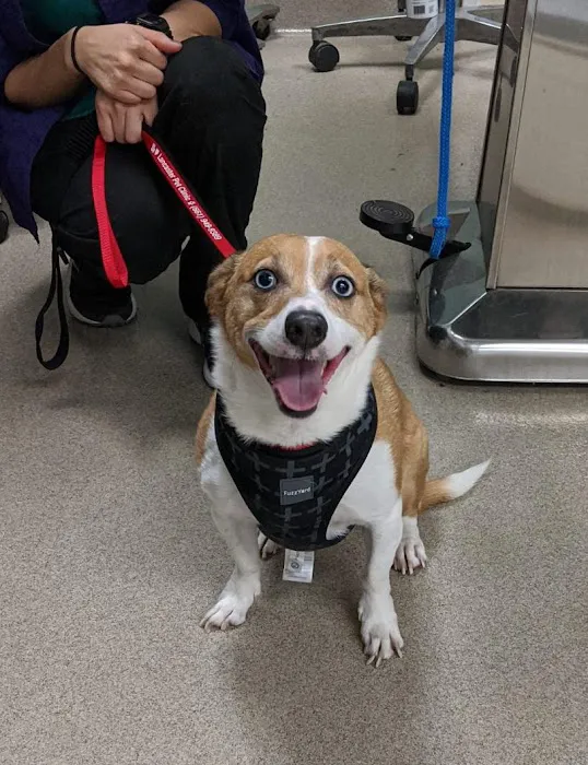 Lancaster Pet Clinic Picture 10