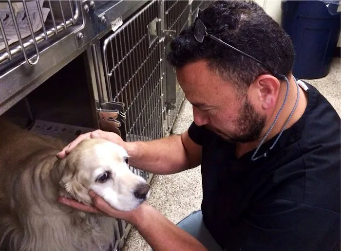 North Valley Veterinary Clinic: Bosma Larry F DVM Picture 5