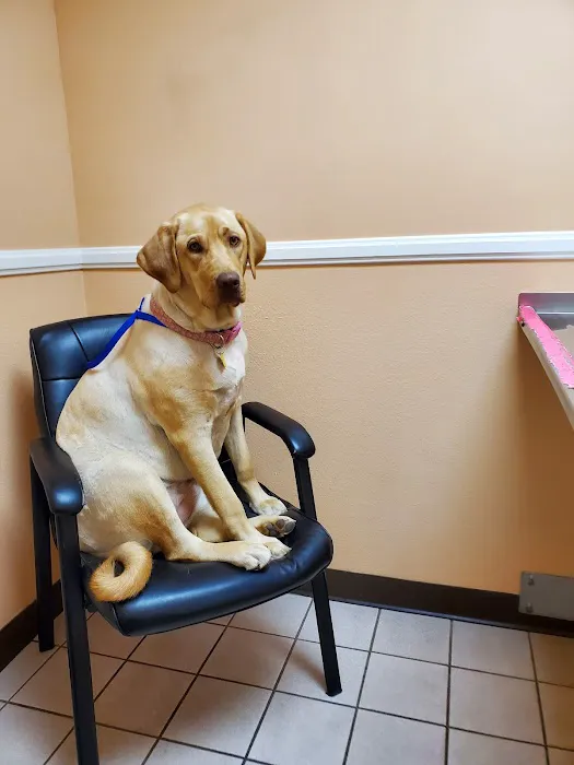North Valley Veterinary Center And Boarding Picture 7
