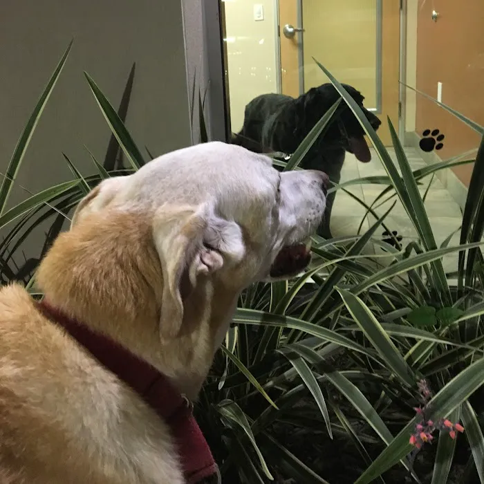 Washington Boulevard Animal Hospital Picture 1