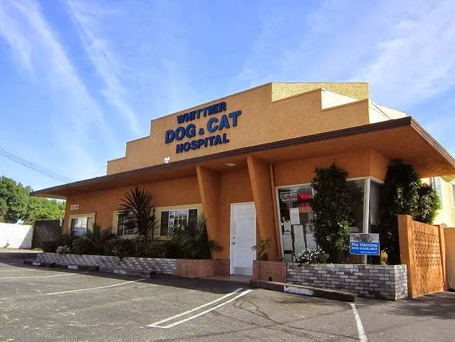 Whittier Dog and Cat Hospital Picture 9