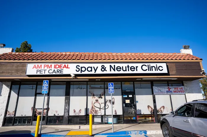AM PM Spay & Neuter Clinic Picture 3