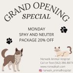 Norwalk Animal Hospital