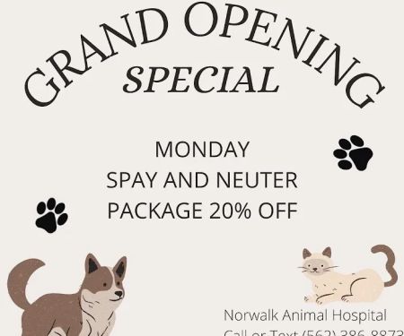 Norwalk Animal Hospital